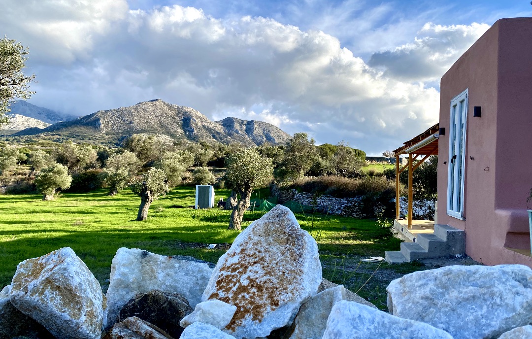 Naxos Cozy Nest is an ancient Olive Grove in Naxos island